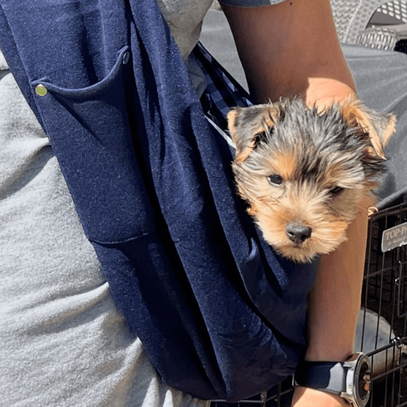 BuddyBag™