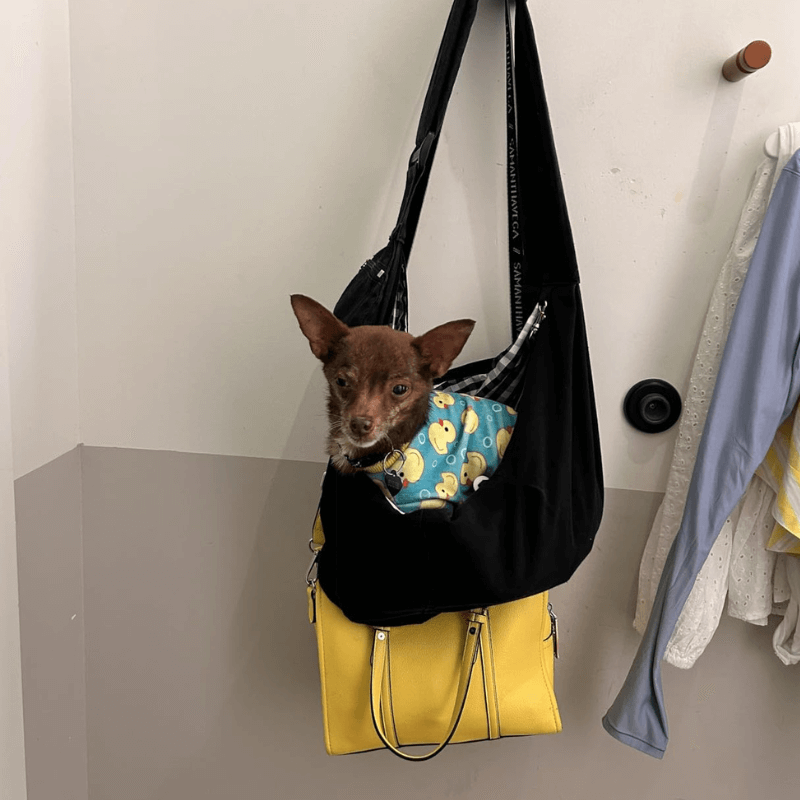 BuddyBag™