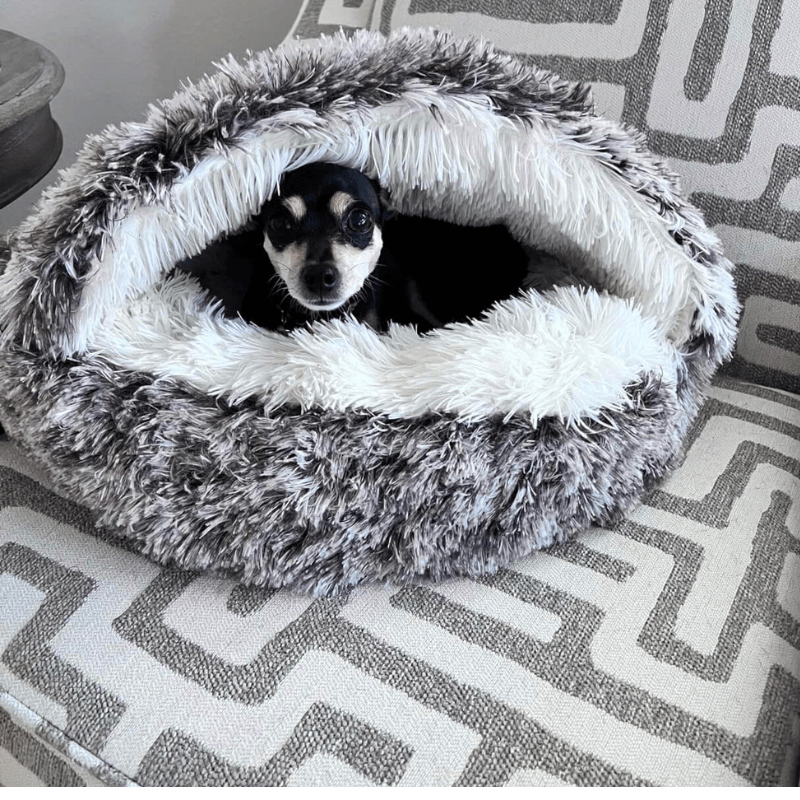 PuppyShell™