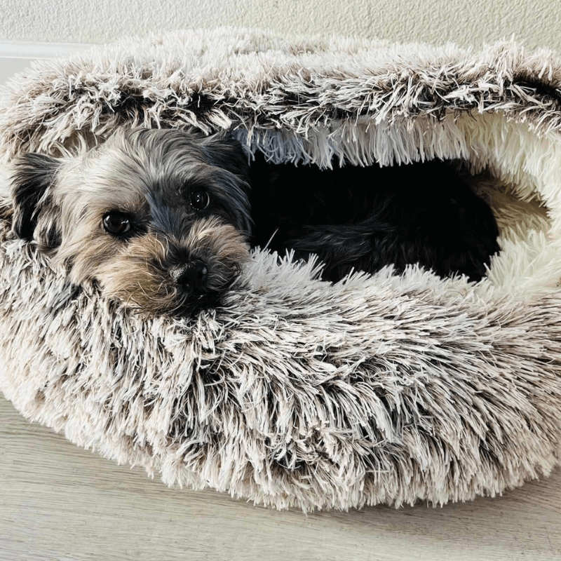 PuppyShell™