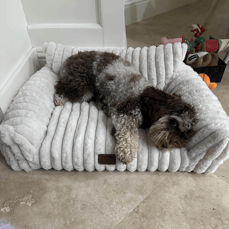 PuppyLounge™