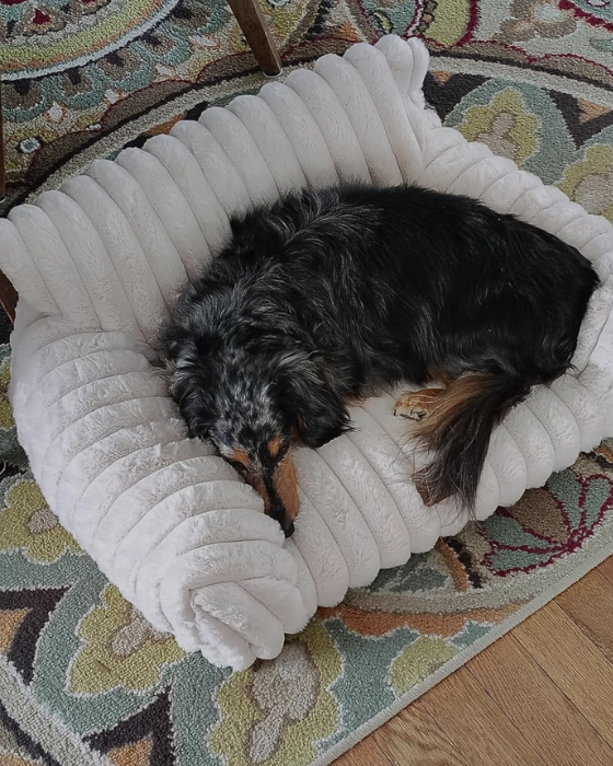 PuppyLounge™