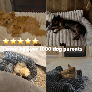 PuppyLounge™
