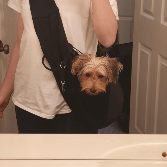 BuddyBag™