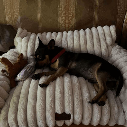 PuppyLounge™